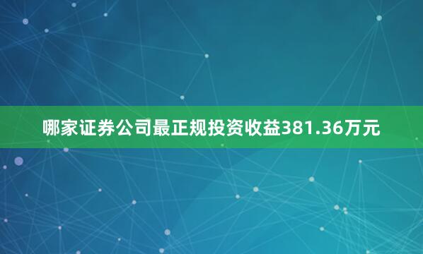 哪家证券公司最正规投资收益381.36万元